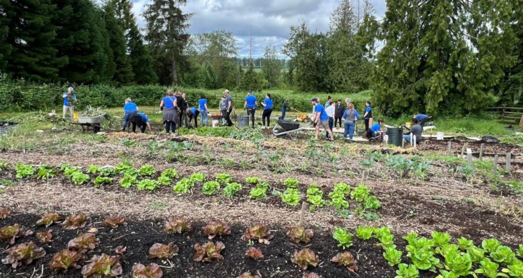 3_Group garden